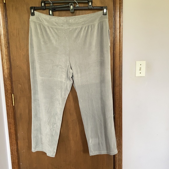 2 pairs Sportelle gray velour velvet soft comfy pull on pant 2X - Picture 8 of 15